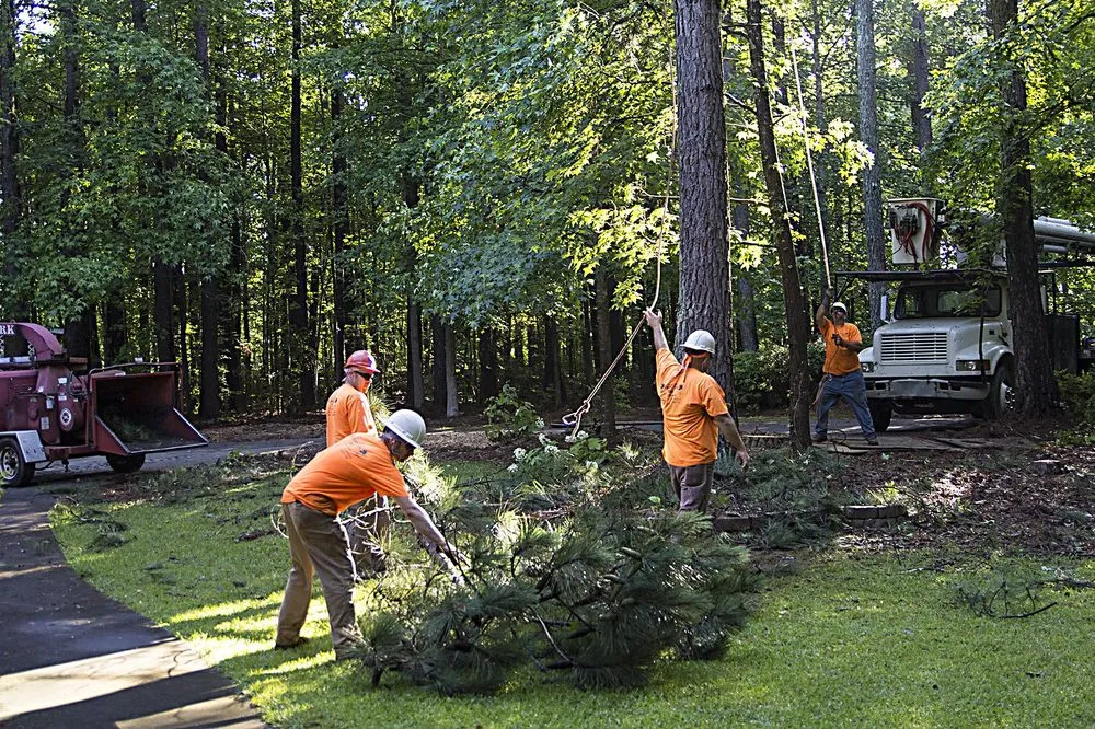 Affordable garden landscaping in Griffin, GA - County Line Tree