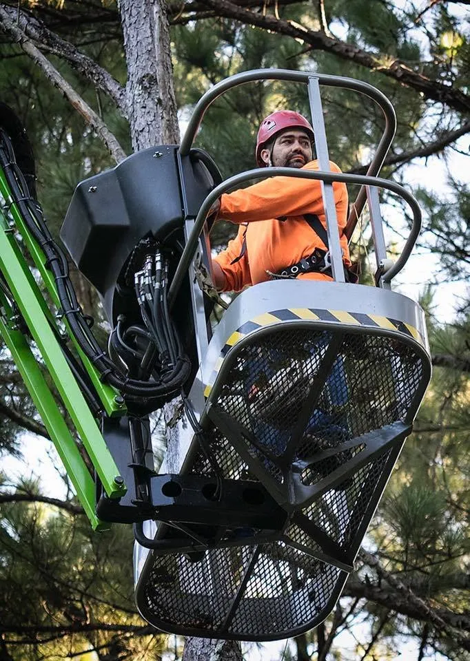 Reliable landscaping services experts serving Griffin, GA - County Line Tree