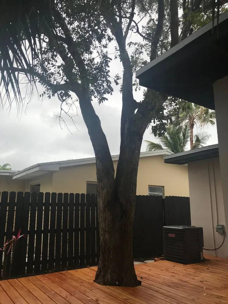 Custom garden landscaping in Boynton Beach, FL - County Tree and Property Renovation