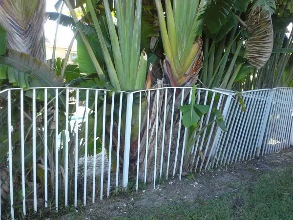 Reliable yard cleanup service experts serving Boynton Beach, FL - County Tree and Property Renovation