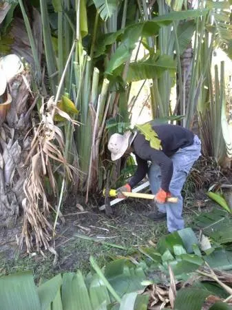 Professional landscape installation near you across Boynton Beach, FL - County Tree and Property Renovation