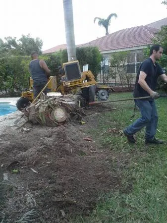 Professional lawn care service in Boynton Beach, FL - County Tree and Property Renovation