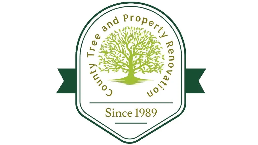 Expert lawn mowing service in Boynton Beach, FL by County Tree and Property Renovation