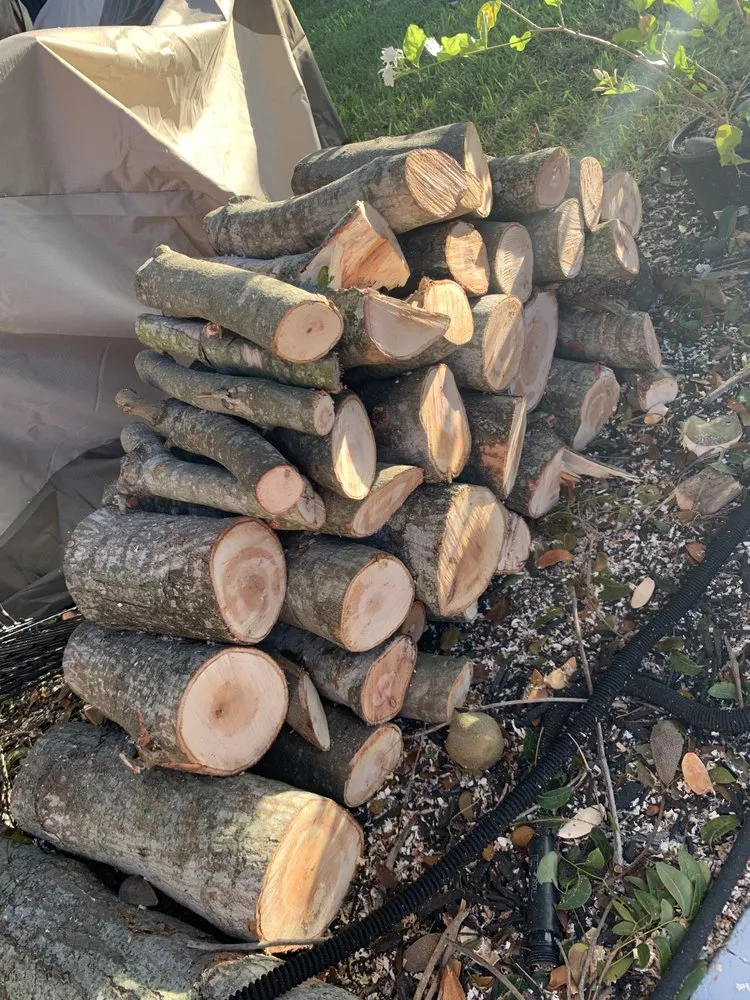 Custom yard maintenance in Boynton Beach, FL - County Tree and Property Renovation