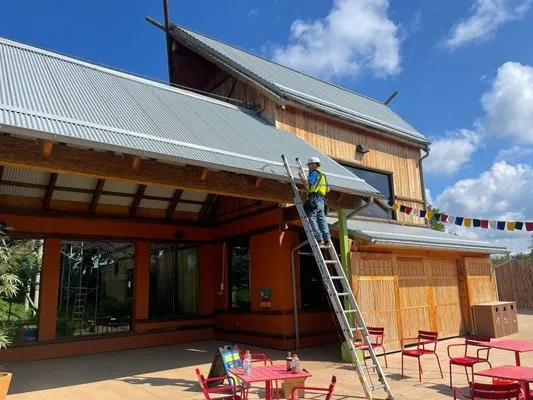 County Tree and Property Renovation Logo