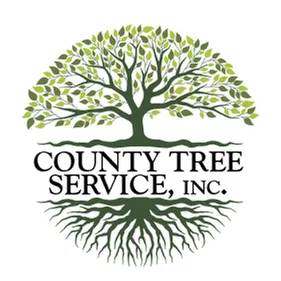 Expert lawn mowing service experts serving Gastonia, NC - County Tree Service
