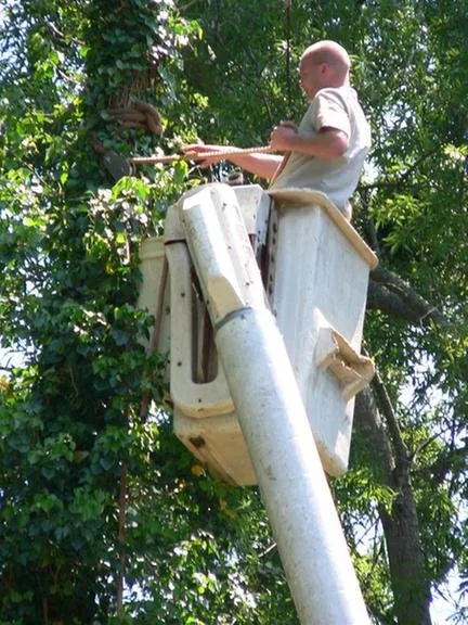 Expert garden landscaping in Gastonia, NC - County Tree Service