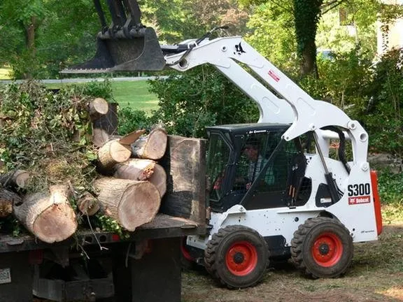 Affordable landscape design in Gastonia, NC - County Tree Service