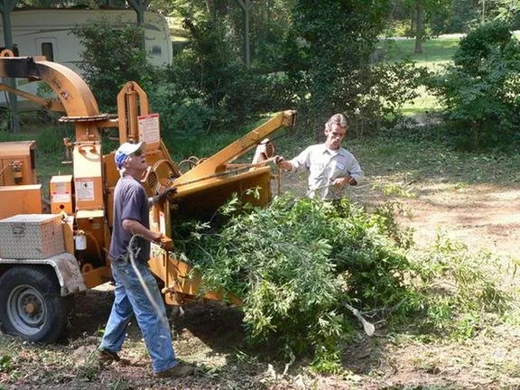 Local landscape design experts serving Gastonia, NC - County Tree Service