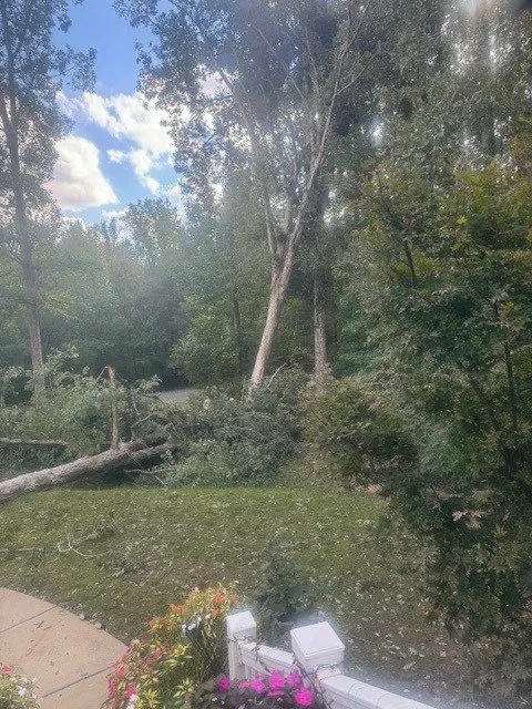 Trusted landscaping services in Gastonia, NC by County Tree Service