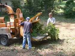 Top-rated lawn mowing service for residential properties in Gastonia, NC by County Tree Service