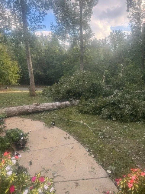 Professional outdoor landscaping in Gastonia, NC by County Tree Service