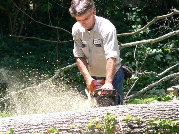 Expert outdoor landscaping with custom design across Gastonia, NC - County Tree Service