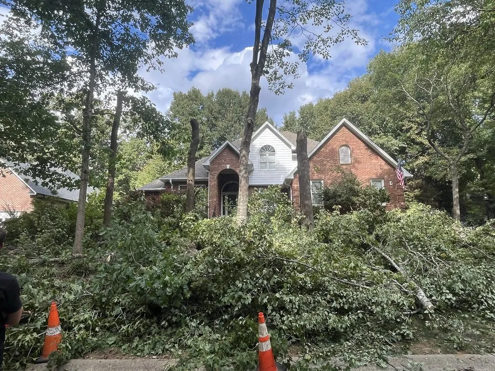 Expert yard maintenance experts serving Gastonia, NC - County Tree Service