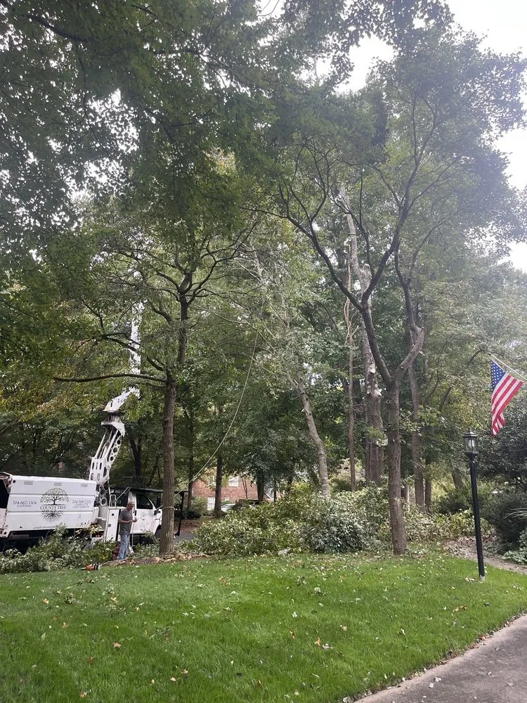 Professional residential landscaping in Gastonia, NC - County Tree Service