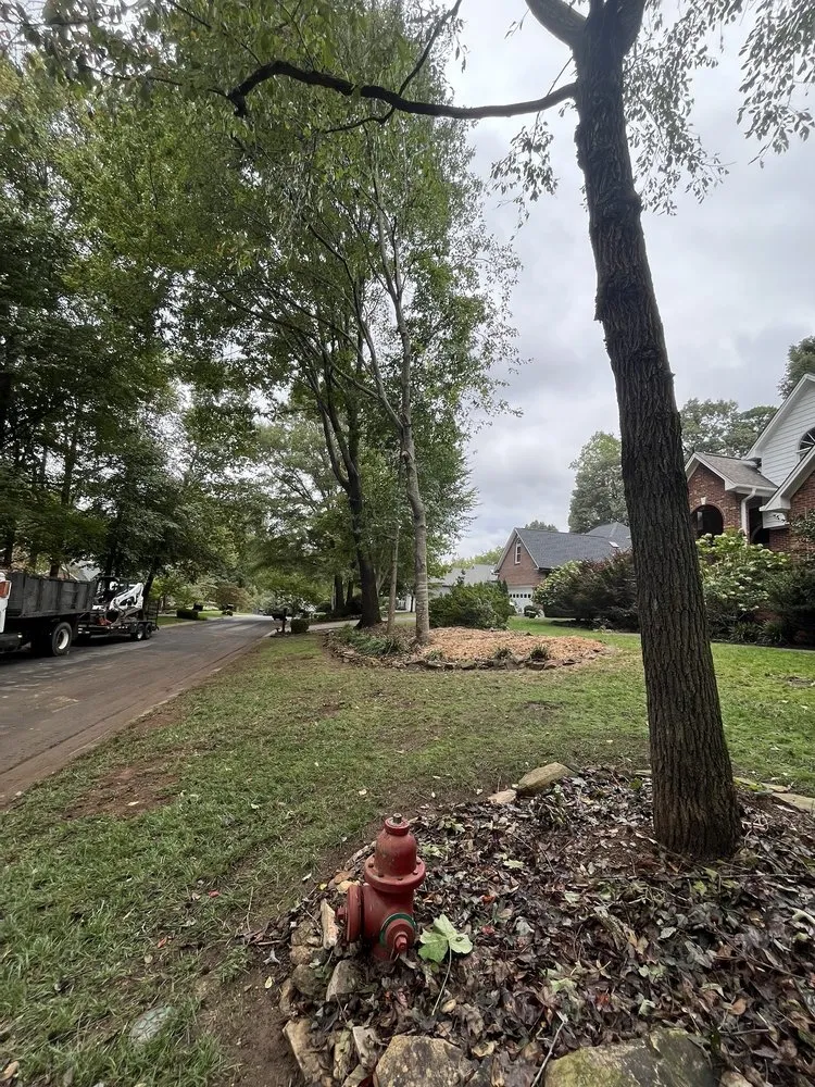 Affordable landscape installation for homes in Gastonia, NC by County Tree Service