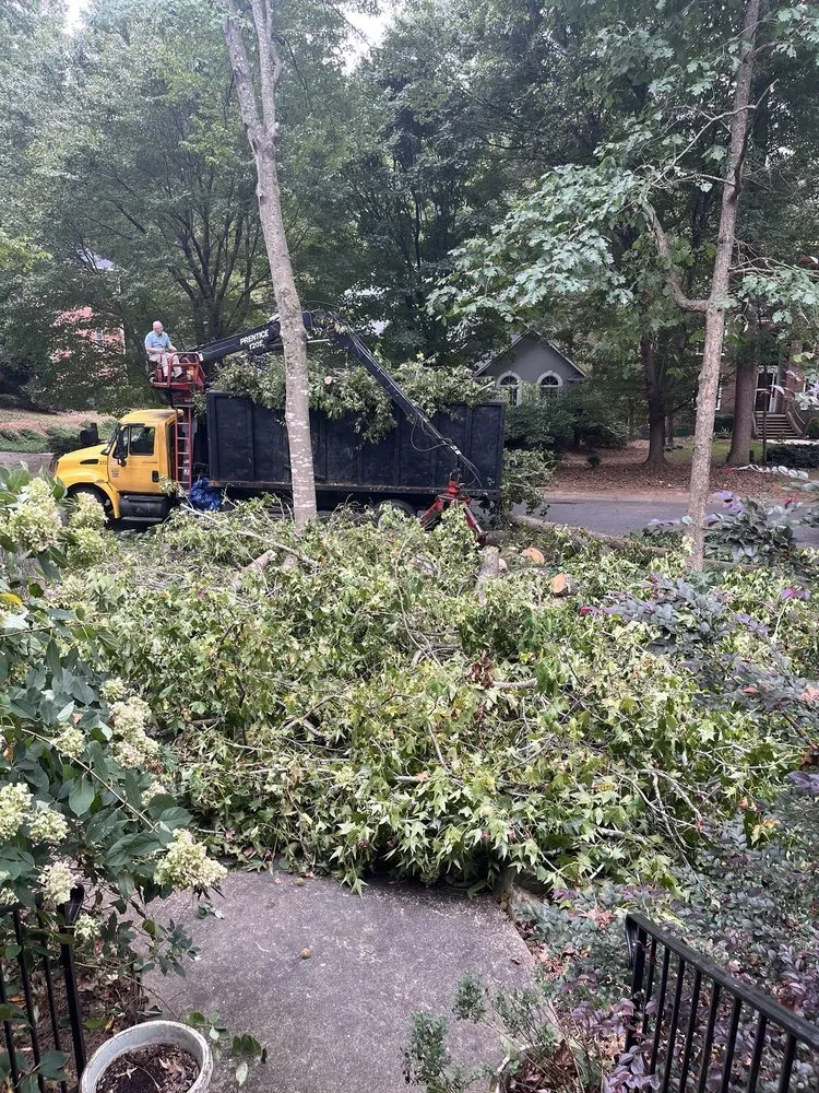 Local residential landscaping in Gastonia, NC by County Tree Service