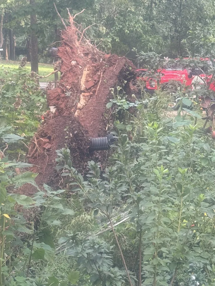 Custom lawn mowing service in Gastonia, NC - County Tree Service