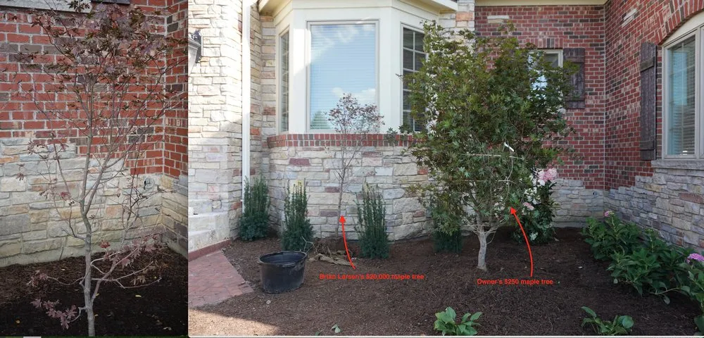Reliable garden landscaping in Elburn, IL - County Wide Landscaping