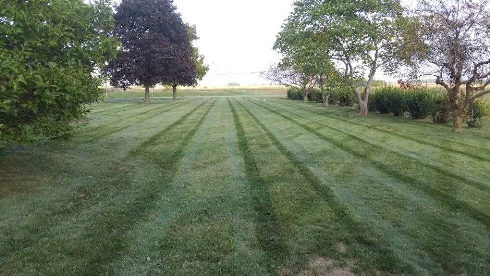 Reliable yard maintenance for year-round maintenance in Morenci, MI by Countyline lawn Service