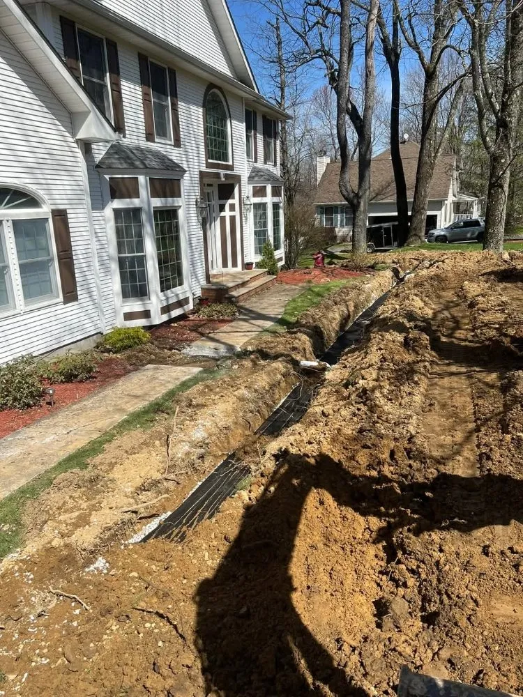 Expert landscape installation experts serving Homosassa, FL - Countywide Excavating