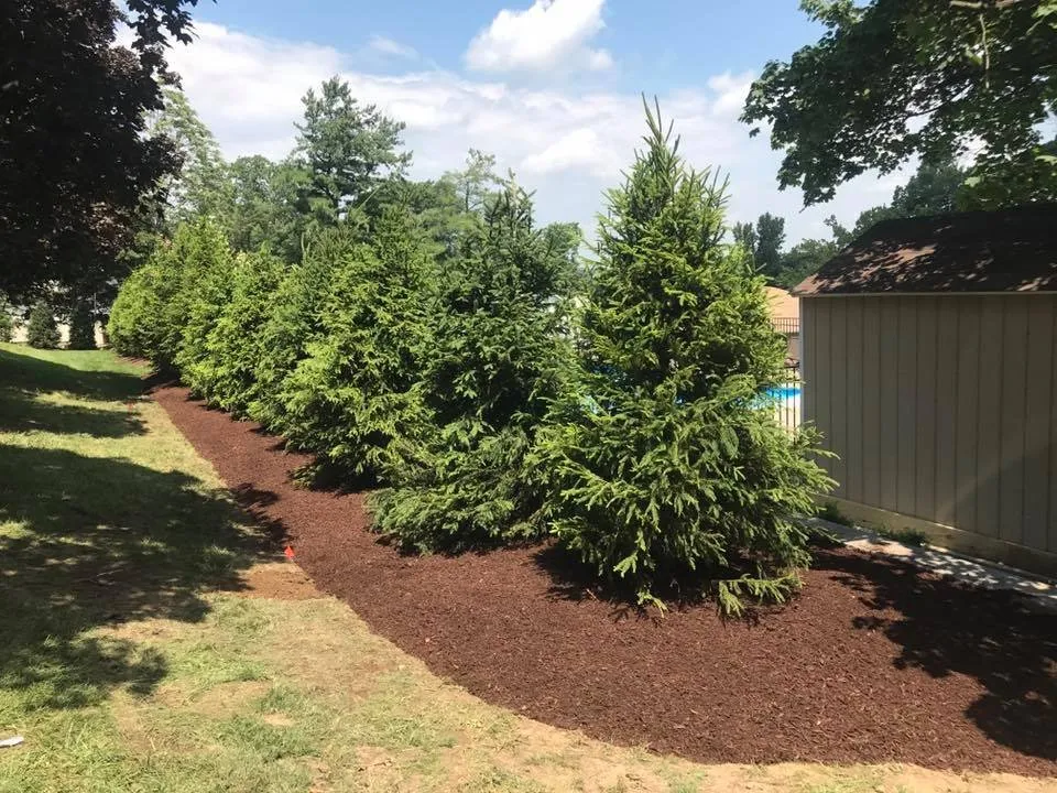 Professional yard maintenance experts serving Hampton, NJ - Countywide Industries