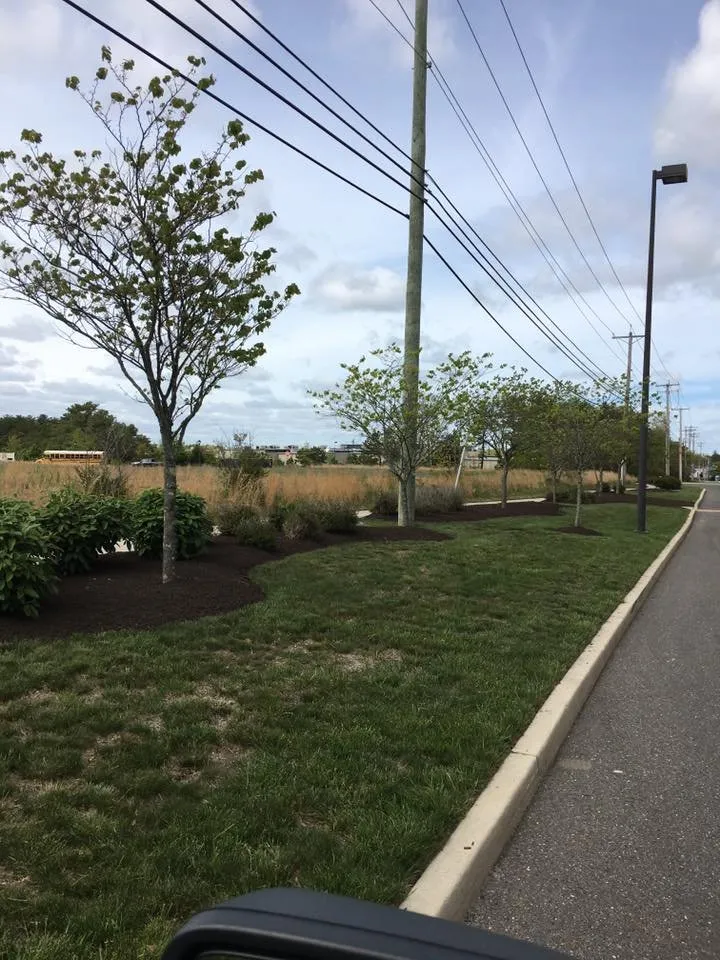 Professional yard cleanup service for outdoor upgrades in Hampton, NJ by Countywide Industries