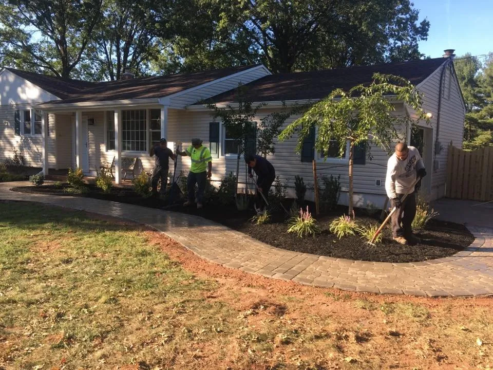 Reliable yard cleanup service in Hampton, NJ by Countywide Industries