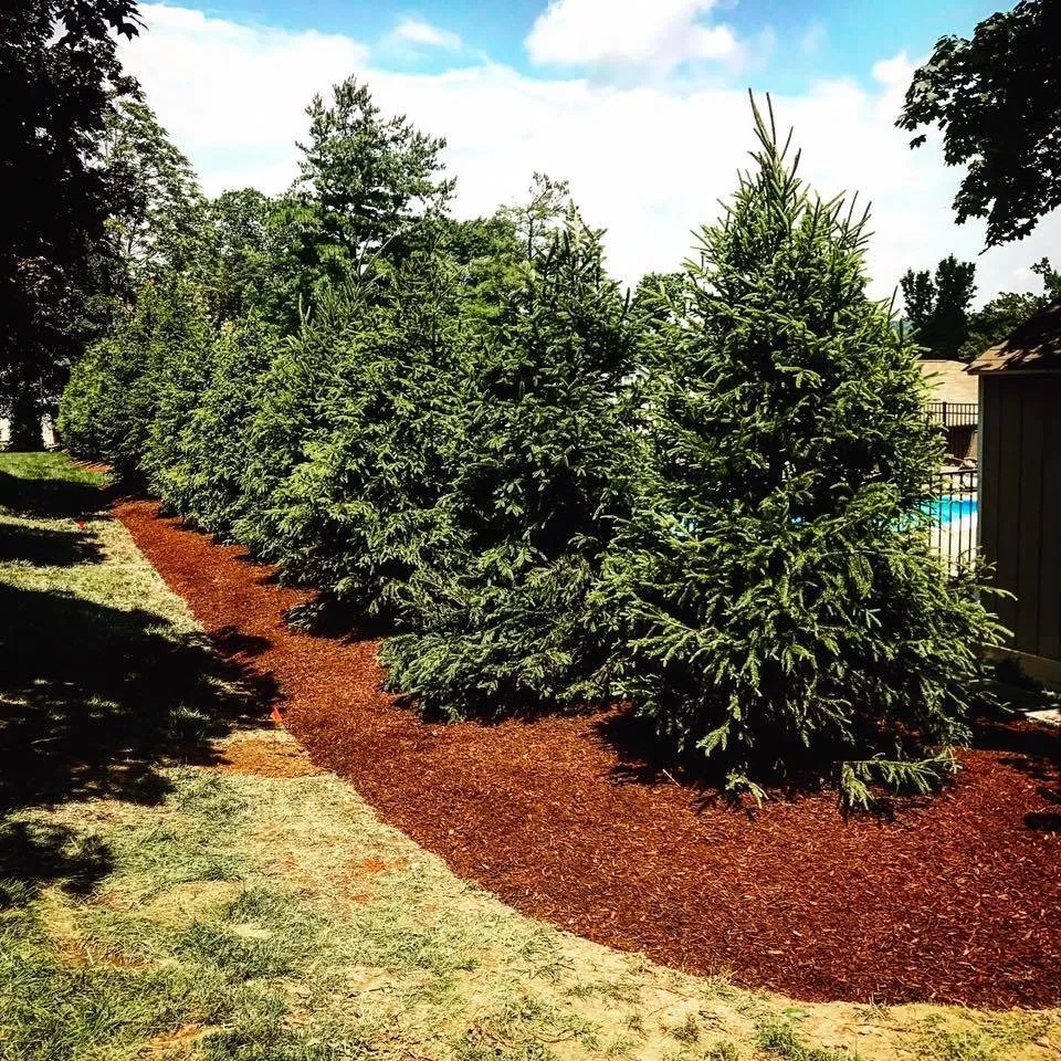 Reliable landscaping services for beautiful yards in Hampton, NJ by Countywide Industries