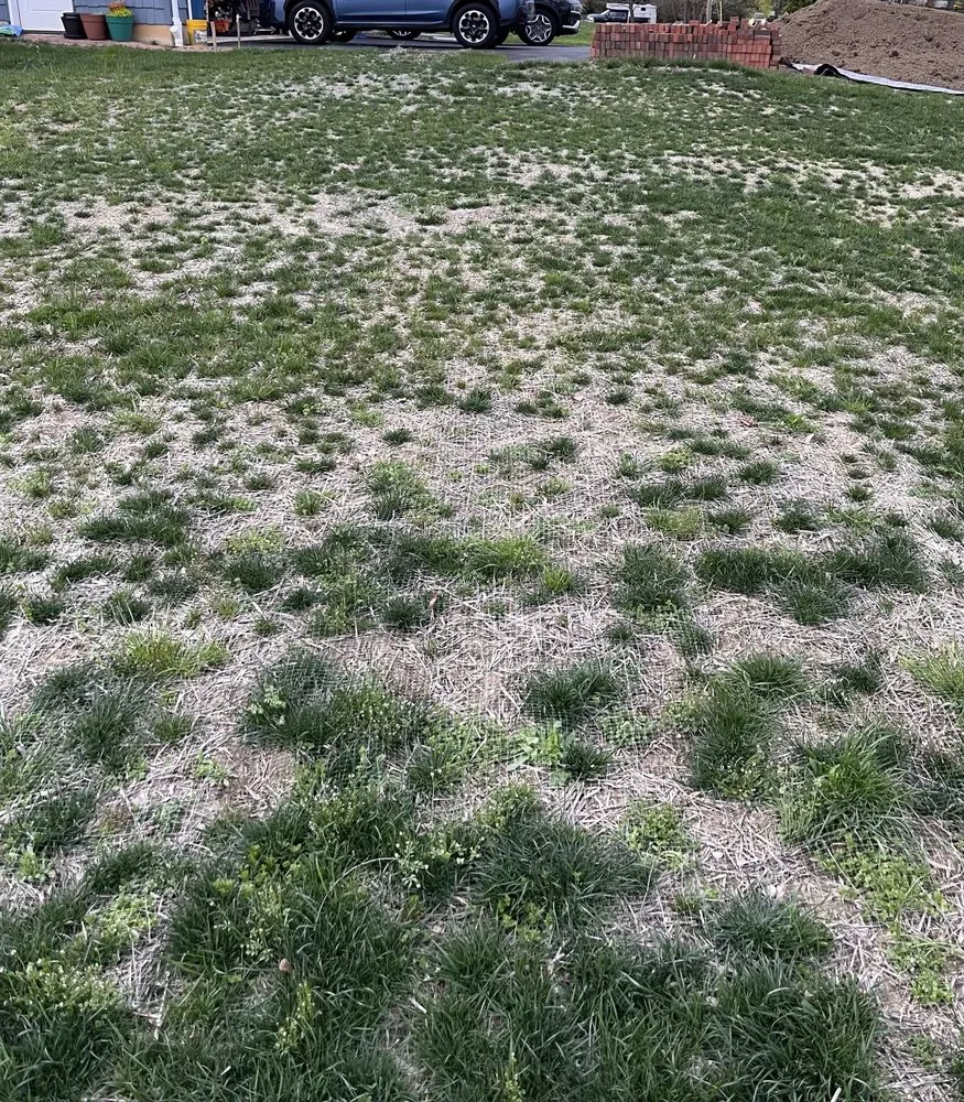 Trusted landscape design in Downingtown, PA - Countywide Landscape