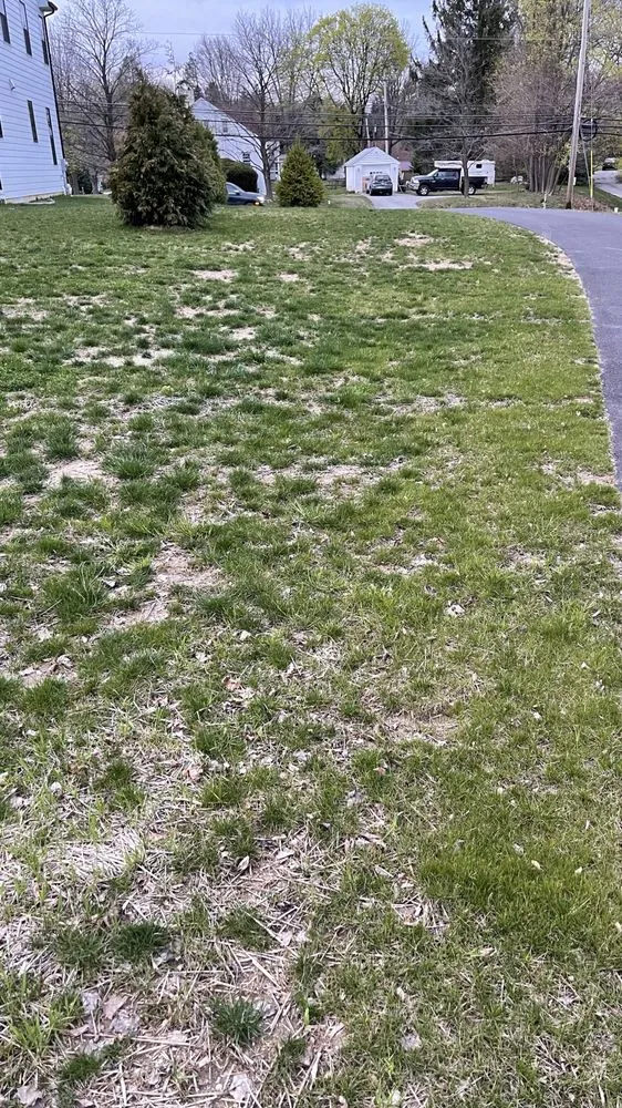 Affordable landscape design experts serving Downingtown, PA - Countywide Landscape