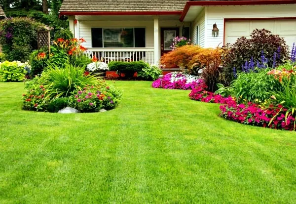 Top-rated yard cleanup service experts serving Downingtown, PA - Countywide Landscape