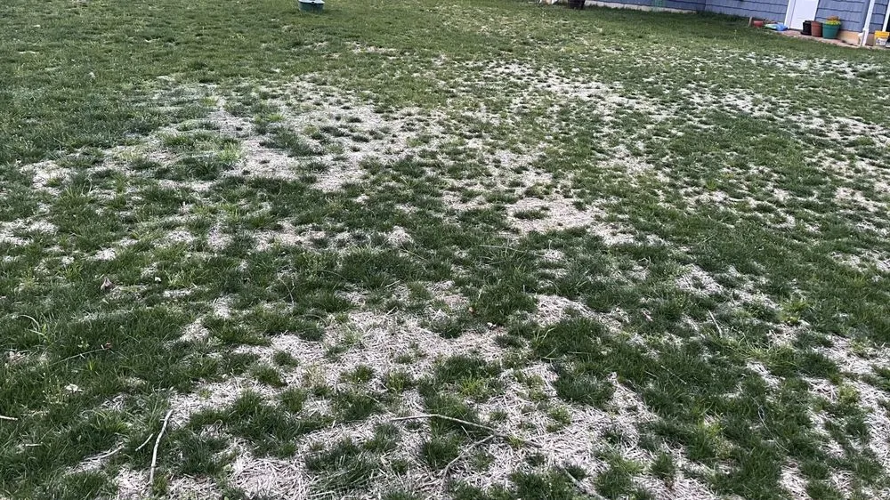 Top-rated lawn mowing service in Downingtown, PA - Countywide Landscape