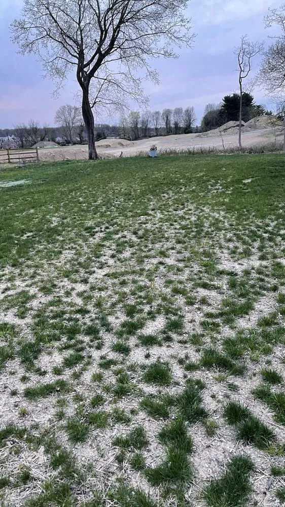 Professional outdoor landscaping for beautiful yards in Downingtown, PA by Countywide Landscape