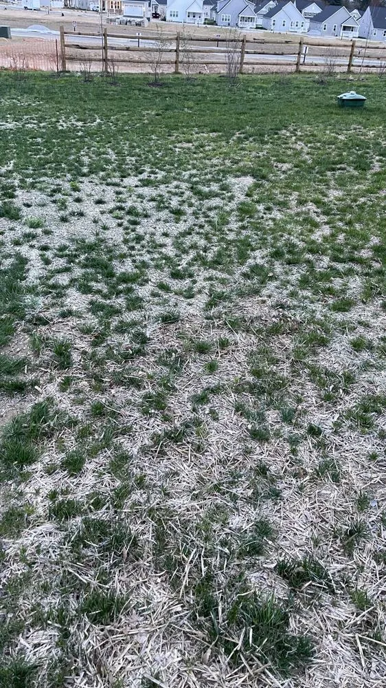 Top-rated yard maintenance experts serving Downingtown, PA - Countywide Landscape