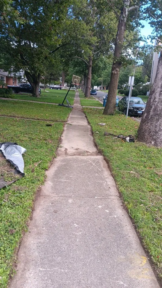 Trusted yard cleanup service in Springfield, IL - Courtesy Lawn Care