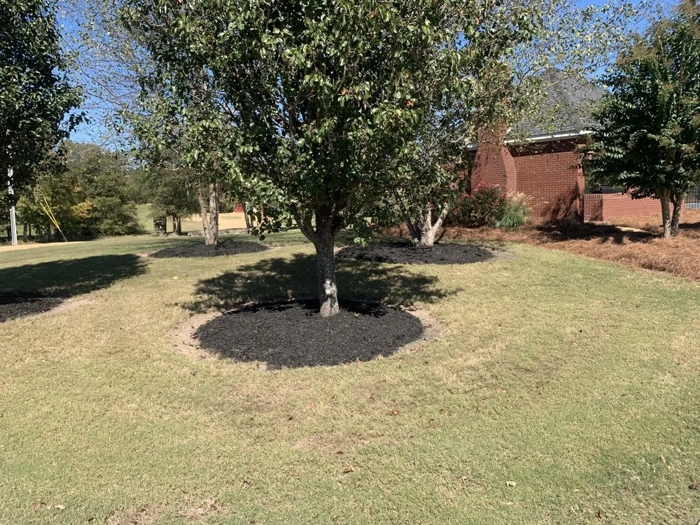 Custom outdoor landscaping experts serving Marietta, MS - Courtney’s Lawn Care