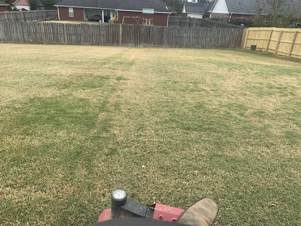 Professional outdoor landscaping for residential properties in Marietta, MS by Courtney’s Lawn Care