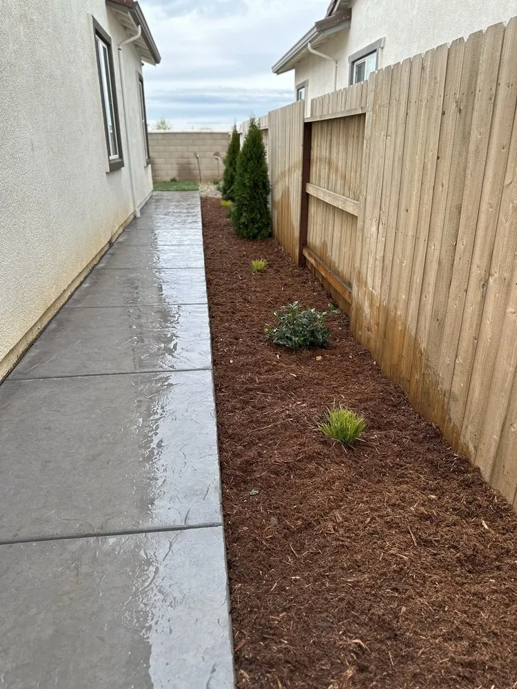 Local yard cleanup service experts serving Rancho Cordova, CA - Courtyard Landscape