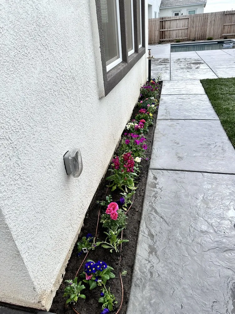 Local garden landscaping in Rancho Cordova, CA - Courtyard Landscape