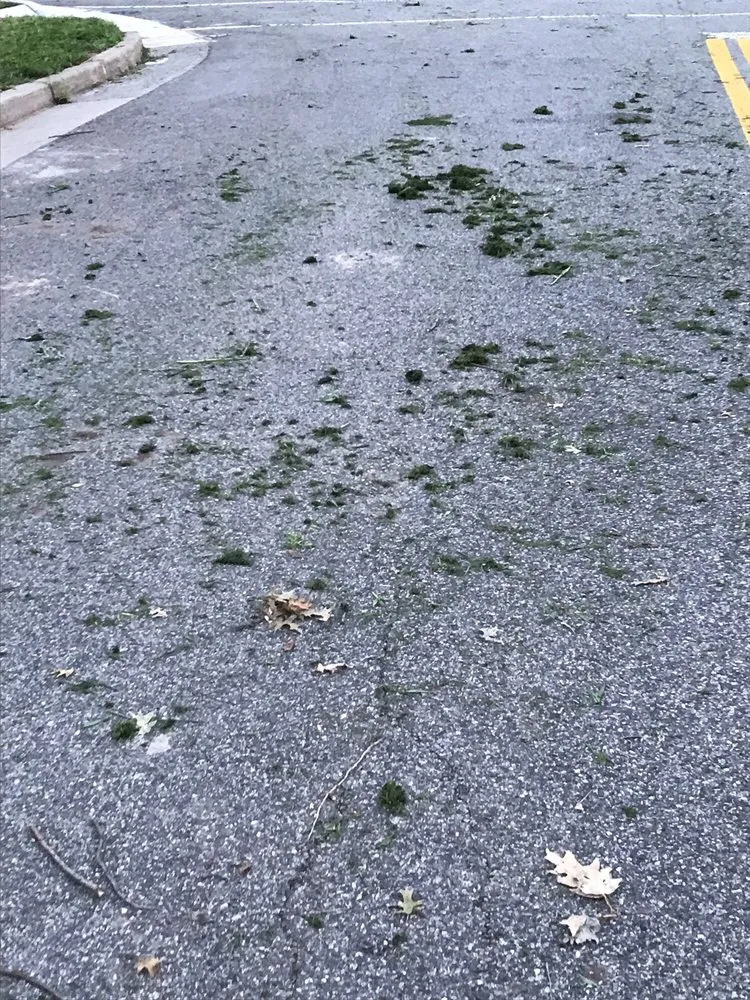 Professional yard cleanup service experts serving Piscataway, NJ - Cousin Lawncare