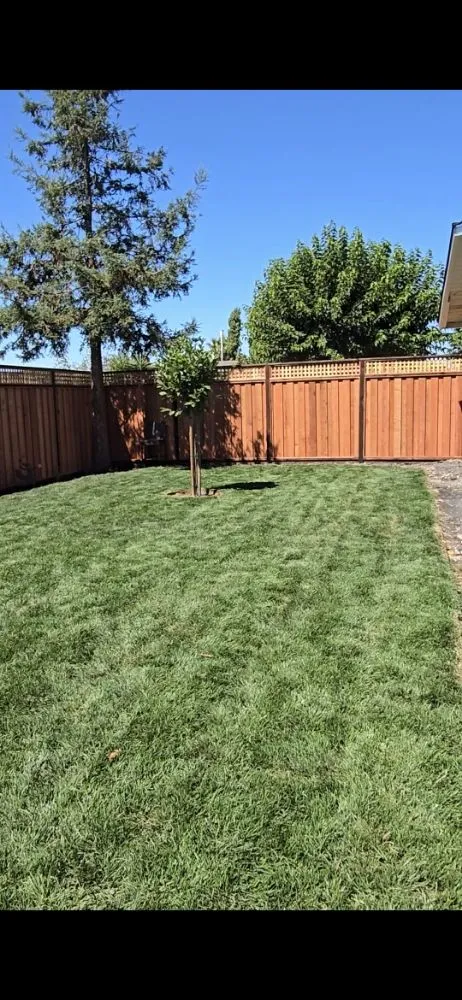 Affordable outdoor landscaping for homes in Novato, CA by Cousins Construction and Landscape