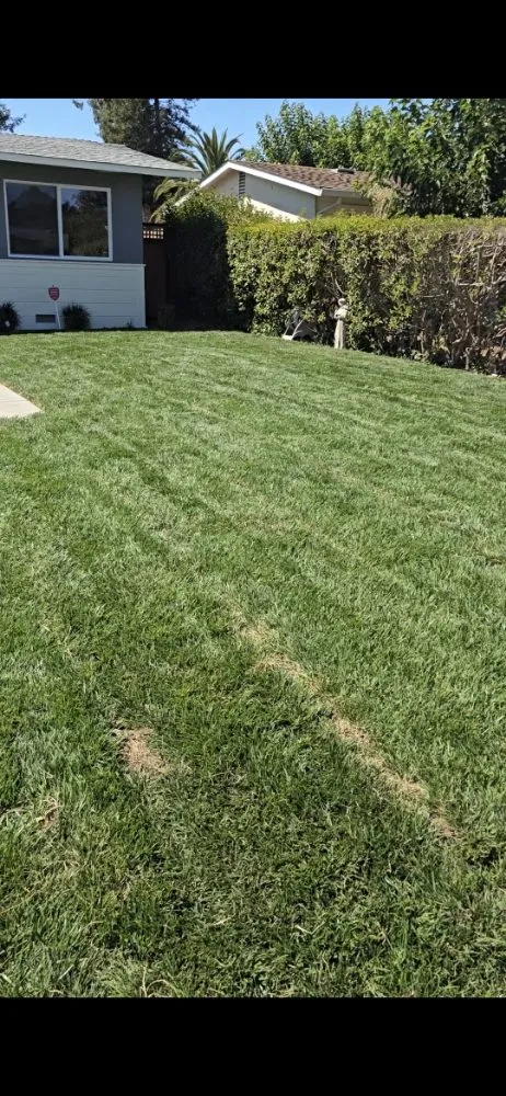 Affordable garden landscaping in Novato, CA by Cousins Construction and Landscape