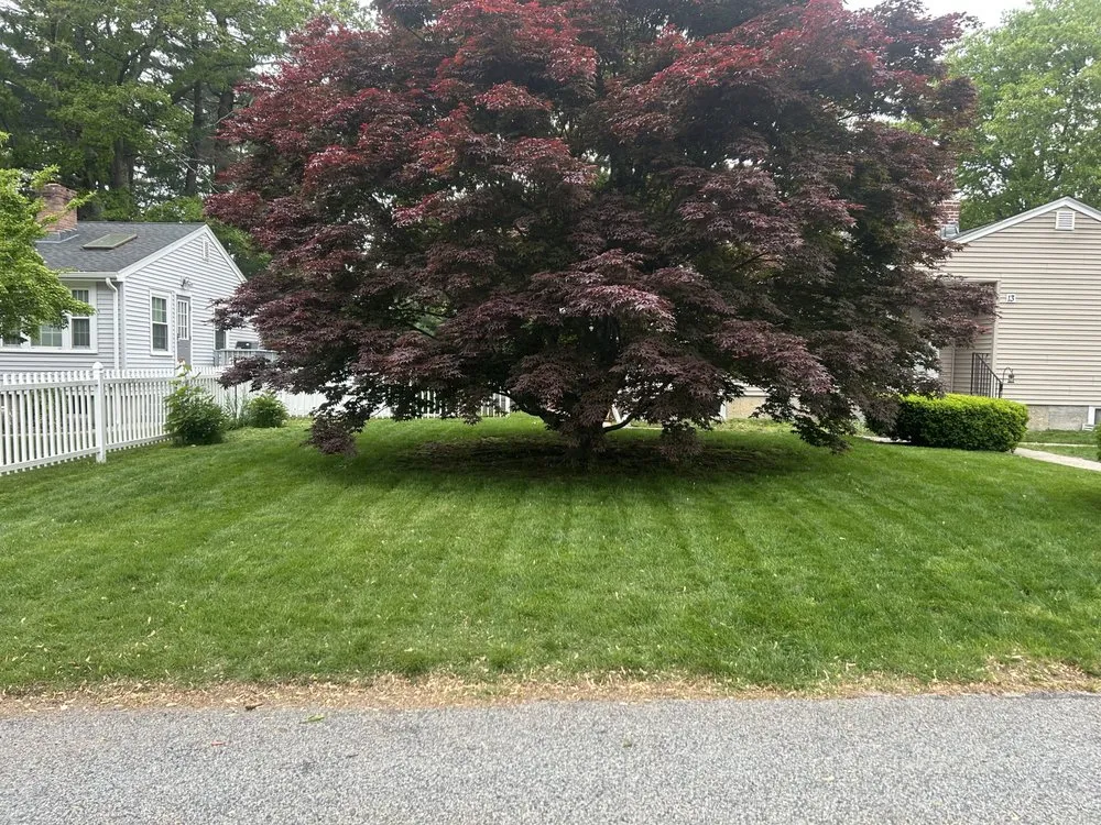 Trusted landscape design experts serving Ashland, MA - Cousins Landscaping & Services