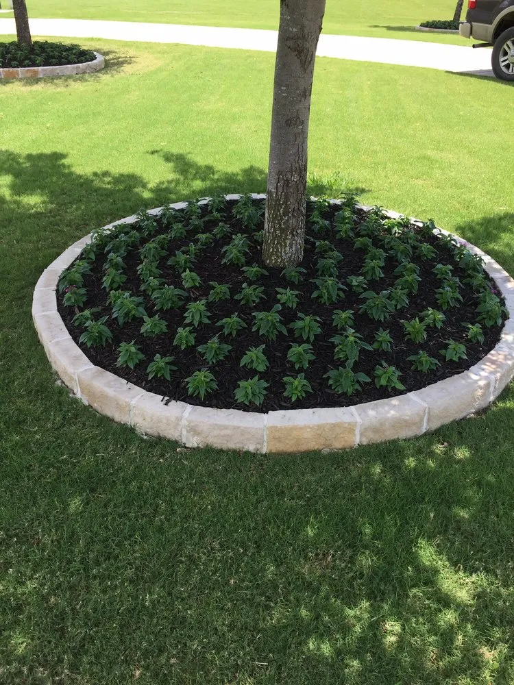Custom yard cleanup service for year-round maintenance across Sachse, TX - Cousins Landscaping