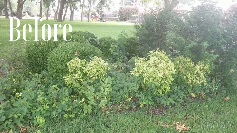 Affordable landscape installation for residential properties in Sachse, TX by Cousins Landscaping