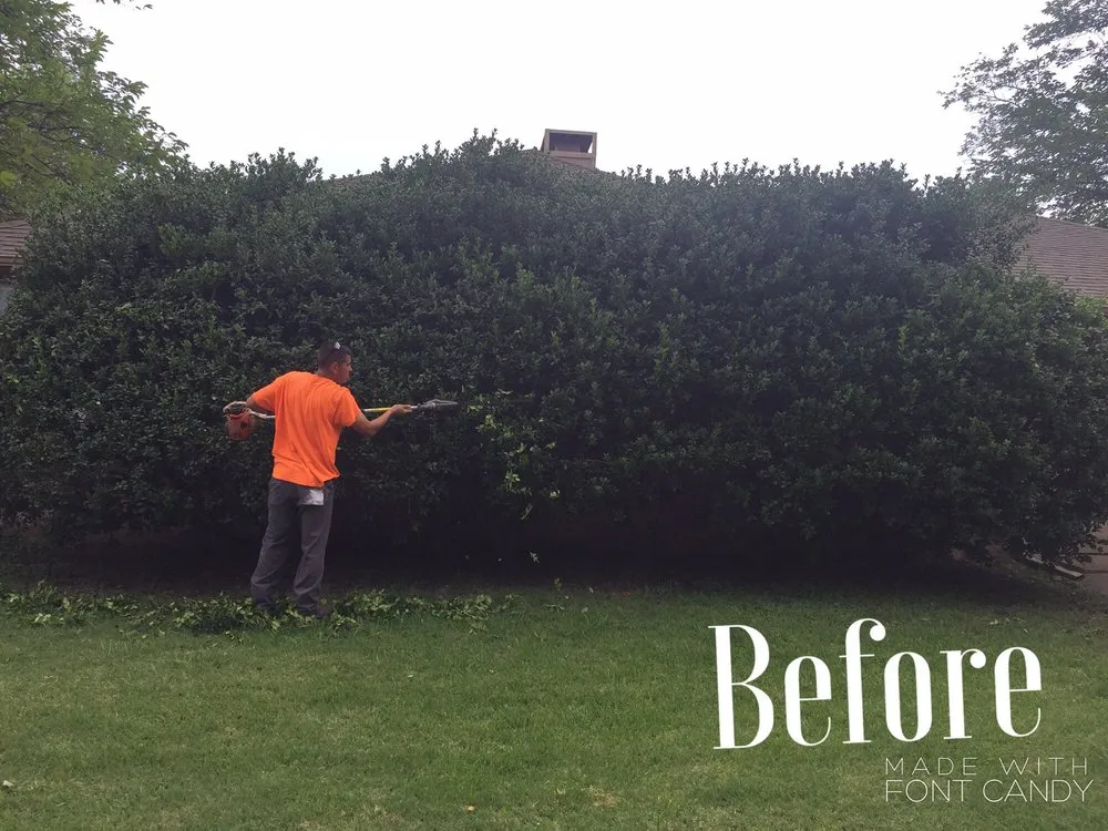 Custom landscape installation in Sachse, TX by Cousins Landscaping