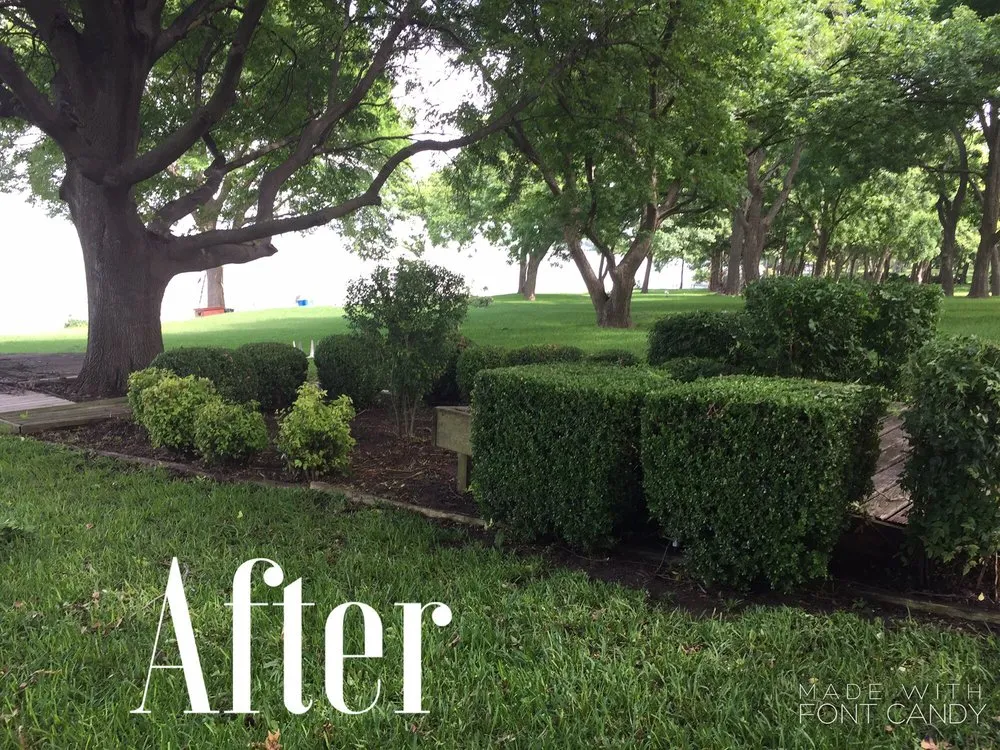 Local landscape installation experts serving Sachse, TX - Cousins Landscaping