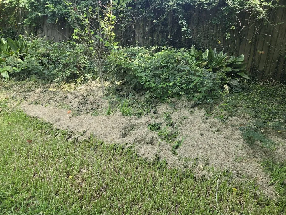 Affordable lawn care service for residential properties across Beaumont, TX - Cousin's Lawn Service