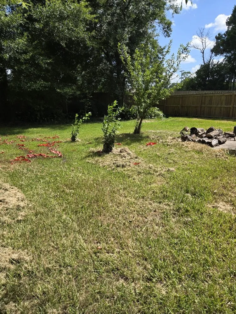 Trusted landscape design experts serving Beaumont, TX - Cousin's Lawn Service